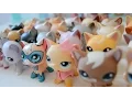 All Of My Littlest Pet Shop Shorthair Cats