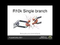 R10k single control branch strategy