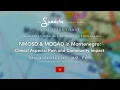 Sanja Gluscevic Montenegro 2023 SPARK Grant Recipient