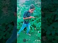 Download Lagu Tujhe dekha to ye Jana sanam