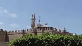                                           دندنها