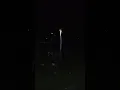 Download Lagu PENAMPAKAN BURUNG YANG BERBUNYI PADA MALAM HARI