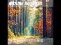Nature Sounds for Sleep & Relaxation (Forest, birds singing) 01