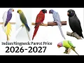 Top 30 Indian Ringneck Parrots Price 2026 1 500 to 5 00 000