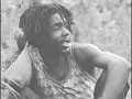 Peter Tosh Stop that Train Acoustic