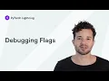 Debugging Lightning Flags