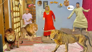 لما اخوك الصغير يجيب اسود في البيت يخوف امك وابوك بيهم عمر نصر 