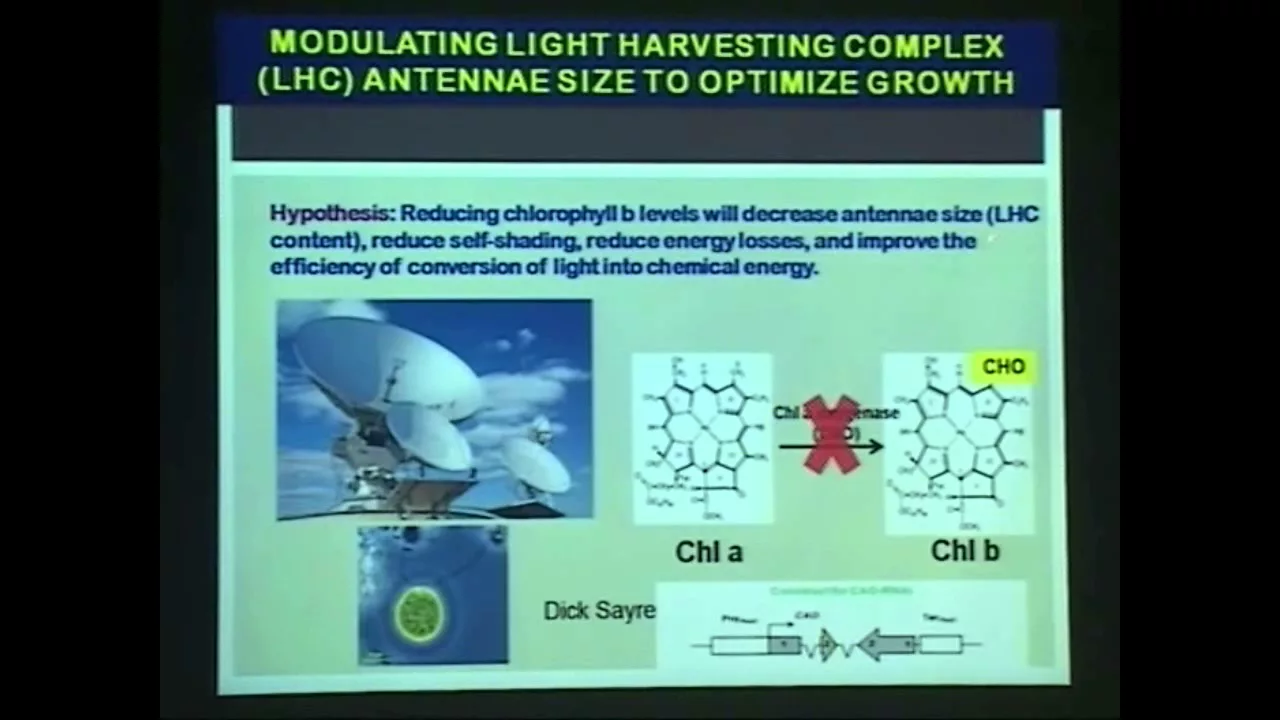 The Future : Bioenergy, Biomass, and Hydrogen and Open Questions