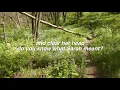 Sarah - Alex G (lyrics)