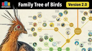 Family Tree of Birds Version 2.0