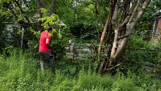 I Thought the Overgrowth Was the Problem… I Was Wrong