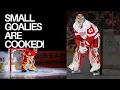 Small Goalies Are NOT Back What an NHL Scout s Document Actually Says Goalie Science Episode 148