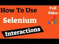 How To Implement Selenium Interactions 206