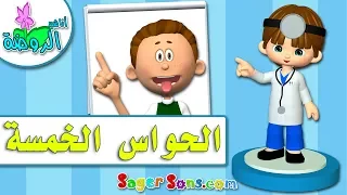 اناشيد الروضة تعليم الاطفال الحواس الخمسة بدون موسيقى بدون ايقاع  اناشيد الروضة تعليم الاطفال الحواس الخمسة بدون موسيقى بدون ايقاع