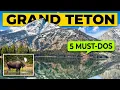 GRAND TETON National Park Review 5 Must-Do Activities Jenny Lake Hidden Falls Cool Animals