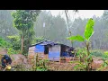 Download Lagu Di Guyur Hujan Deras Sore Hari - aktivitas Sehari-hari Di Pondok Hutan - Membuat Telur dadar kubis