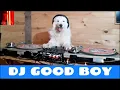 Download Lagu DJ Good Boy