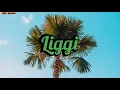 Liggi Full song with English Translation||Ritviz||