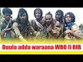 Lagu Duula adda waraana WBO fi RIB