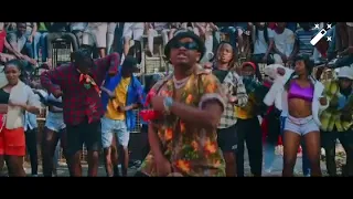 whozu x rayvanny ft ntosh gazi chawa official video 