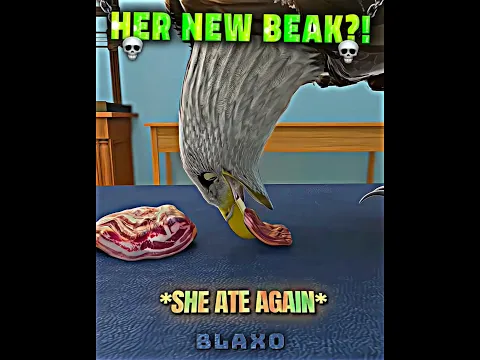 THEY FIXED HER BEAK! 🦅❤️
