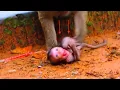 Download Lagu OMG... Little baby Screaming C-r-y When Fail Down During Mom Not care