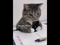 Download Lagu you're bigger than that #fyp #cat #funny #georgieebom #meme MP3