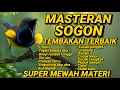 Download Lagu MASTERAN SOGON TEMBAKAN TERBAIK 🔥 Suara Super Mewah Materi Full Isian Juara #sogon #sogokontong 