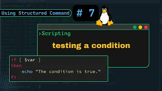 if test and if for testing a condition