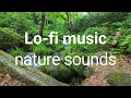 Download Lagu Lo-fi music nature sounds