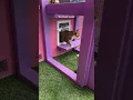 Cat Dad Builds Creative Themed Catios The Dodo