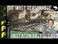 Black Throat Monitor, The Best Pet Lizard?