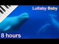 Download Lagu ☆ 8 HOURS ☆ Relaxing PIANO \u0026 UNDERWATER Sounds ♫ ☆ NO ADS ☆ Soothing Music with Beluga Whales