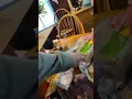 Wild Fork delivery