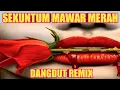 Download Lagu SEKUNTUM MAWAR MERAH - DANGDUT REMIX - TIKTOK VIRAL