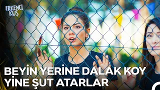 Söz Konusu Futbol Olunca Tüm Erkekler Tek Hücreli Organizmaya Dönüşüyor - Erkenci Kuş