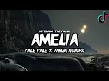 DJ AMELIA X PALPALE X DANZA KUDURO || viral tiktok 2022