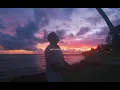 Townix - Piel Canela (Visualizer)