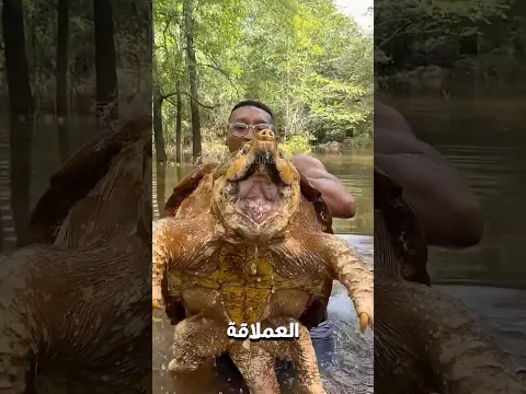 أخطر 5 كمائن في الطبيعة.. مستحيل تهرب منهم .💀