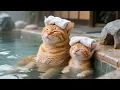 Download Lagu Ginger and Mama Cat Work at the Bathhouse, Relax in the Hot Spring After a Busy Day! 🍱💆‍♀️