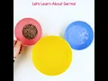 Let s Learn About Germs