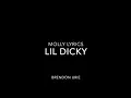 Download Lagu MOLLY || Lyrics || LIL DICKY || BRENDON URIE.