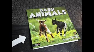 Why I Bought This Baby Animal Themed Wall Calendar as a New Year Gift