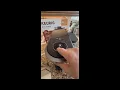 Costco Keurig K Crema Single Serve Coffee Maker