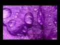 Download Lagu Chew Fu feat. Steve Clisby - Purple Rain (Mousse T's Home Alone Mix)