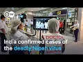 Lagu How deadly is it compared to the Coronavirus? | DW News