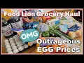 Food Lion Grocery Haul Outrageous Egg Prices