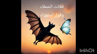 مرت علي الخفاشي مليكة الفراشي  أسامة الواعظ دندنها