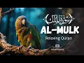 Download Lagu Surah Mulk - سورة الملك ✦ Ontspannende koran om te slapen ✦ voorkeurssurah