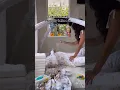 Parejas bebe